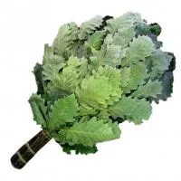 веник банный из кавказского дуба премиум (оплетённая ручка) банный эксперт